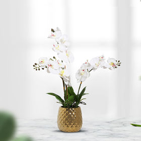 Orquídeas de flores de simulación, arreglo floral artificial de  Phalaenopsis, flores de orquídea de seda sintética con jarrón de cerámica,  decoración