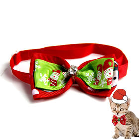 Chien chat toilettage rayé noeud papillon animal collier pet