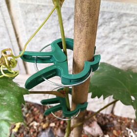 Plant Grafting Clips Graft Pruner Fastener Vegetable Flower