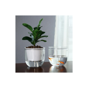 Self-Watering Automatic Planter Flower Pot Home Garden Desktop Plant Decoration