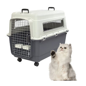 https://p.globalsources.com/IMAGES/PDT/S1192119638/Pet-Travel-Carrier.jpg