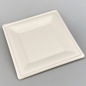 Compostable Food Container Sugarcane Bagasse Plate Cake Plate Square Cake Tray Food Packaging Sugarcane Tray 10 Inch for Wedding