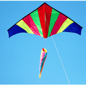 Large 230cm Professional Parafoil/Rainbow Kite With Handle And