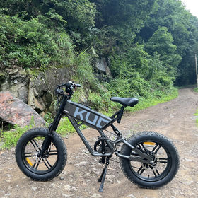 Kugoo Electric Bike Fat Tire 