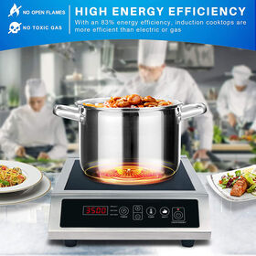 https://p.globalsources.com/IMAGES/PDT/S1193542139/commercial-induction-cooker.jpg