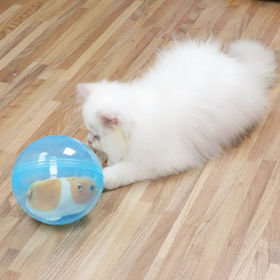 https://p.globalsources.com/IMAGES/PDT/S1193548375/pet-toy.jpg