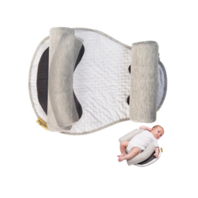 Buy Wholesale China Baby Lounger, Multi-functional As Sleeper, Lounger,  Feeder And Travel Bed, Ergonomic And Comfortable & Baby Poduct at USD 11.5