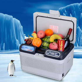 Kaufen Sie China Großhandels-12v 220v Ac Dc Tragbare Kühlung Elektro-auto-kühler-box  Kühlschrank Kühlschrank Thermo Elektrische Kühler Und Wärmer und Mini  Kühlschrank Großhandelsanbietern zu einem Preis von 95 USD
