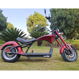 China Customized Electric Chopper Moped Motorcycle Suppliers,  Manufacturers, Factory - Low Price - ALTRUISM