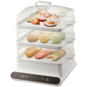 https://p.globalsources.com/IMAGES/PDT/S1194061008/Electric-Food-Steamer.jpg