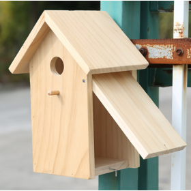 nichoir en bois renforcés pour les perroquets