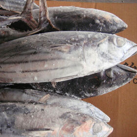 Stockfish Cod  Aschums Seafood AB