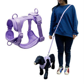 Buy Puppy Harness and Leash Set - Dog Collar and Leash for Small Dogs  Puppies, No Pull Plaid Dog Vest Harness for Outdoor Walking Online at Low  Prices in India 