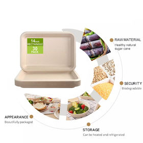 Compre Bandejas De Comida De Papel 100% Biodegradable Para Servir Comida,  Bandeja De 5 Compartimentos, Bandeja De Conservación De Alimentos  Desechable y Bandeja de China por 0.01 USD