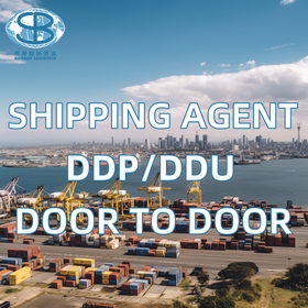 Cheap international logistics services from China to Australia USA Italy UK port FBA Amazon sea shipping Transport