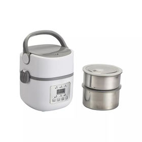 Buy Wholesale China Sorge Personalized Adult Electric Heating Lunch Box  With Stainless Steel Divider & Electric Lunch Box at USD 9.2