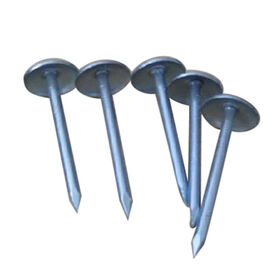 Best Price Of China Manufacturer Roofing Nails