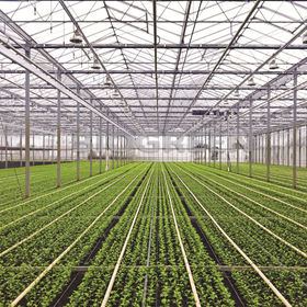 lampe horticole led spectre complet E27 lampe plante croissance interieur  15W pour serre interieur, jardin, chambre de culture, hydroponique, légumes