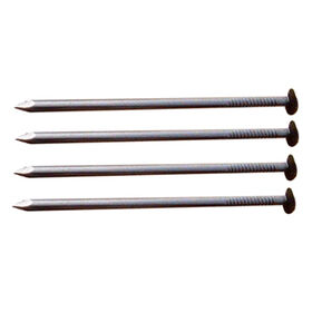Common nail factory price fast delivery time hot sales