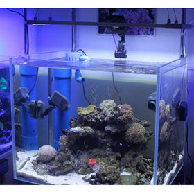 Vente en gros Lumière D'aquarium Led de produits à des prix d'usine de  fabricants en Chine, en Inde, en Corée, etc.
