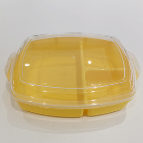 https://p.globalsources.com/IMAGES/PDT/S1195012884/Plastic-Food-container.png
