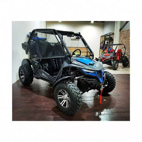 200cc 300cc Gasoline off Road Beach Dune Buggy, Cross Kart, Go Karts for  Adults - China Gasoline Go Kart and off Road Go Kart price