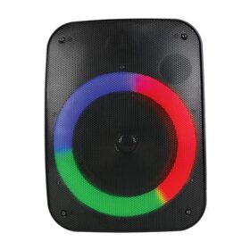 4-Zoll kabelloser/tragbarer/Party-Bluetooth-Lautsprecher mit OEM/ODM