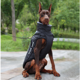 Wholesale Puppy Pet Play Outfits Luxury Cat Clothes Funny Dog Coats - China  Pet Clothes and Pet Supplies price