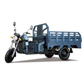 Paupières-Pousse-pousse électrique 36V 250W, tricycle pour