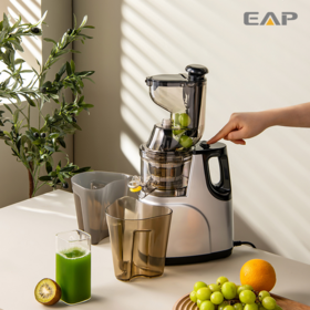 https://p.globalsources.com/IMAGES/PDT/S1195588965/fruit-and-vegetable-juicer.png