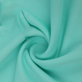 China Bird Eye/Eyelet Mesh Fabric with 100%Polyester for