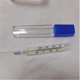 Buy Wholesale China Factory Price Home Used Clinical Glass Thermometer Oral  Mercury Thermometer Small Size & Oral Mercury Thermometer at USD 0.48