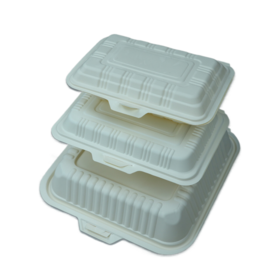 Disposable Container KG Plast has latest facility to produce thermoformed  food packaging disposable i…