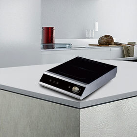 induction cooker big w