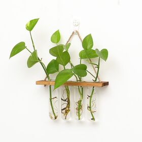 Wall Hanging Glass Planter Creative Flower Pots Home Rack Terrariums Tube Desktop Stand Tabletop Wood Hydroponics Vase