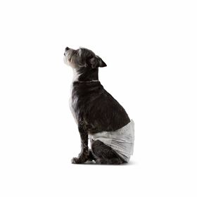 Petco dog cheap diapers