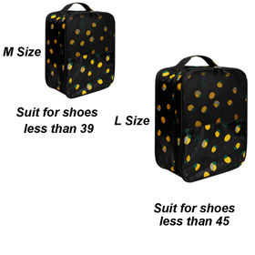 https://p.globalsources.com/IMAGES/PDT/S1196208728/Shoes-Bag.jpg