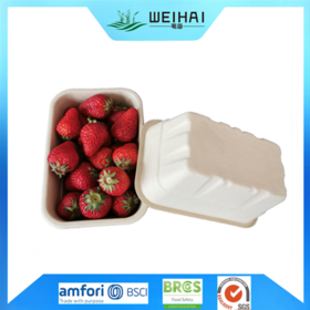 Disposable 500g PET Strawberry Plastic Container Fruits Packaging Clamshell  With Air Holes Manufacturers