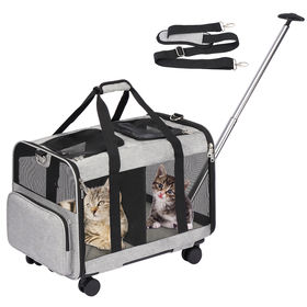 Acheter Valise à roulettes pour chien et chat, valise transparente, sac à  dos respirant pour animal de compagnie, poussette