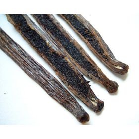 https://p.globalsources.com/IMAGES/PDT/S1196790929/Vanilla-beans.jpg