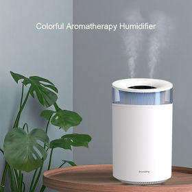 Acheter Humidificateur d'air mignon de 220Ml, purificateur d'air pour  maison et voiture, humidificateur d'aromathérapie