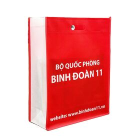 PP Nonwoven Shopping Bag Manufacturer in Vietnam Cheap Price for sale