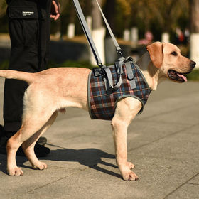 Ceinture de soutien de jambe arrière pour chien Harnais de levage