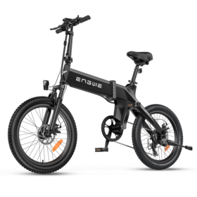 Schwinn regent discount