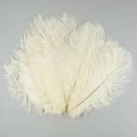 Wholesale Ostrich Feather, Wholesale Ostrich Feather Manufacturers