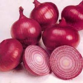 SHOP WHOLESALE RED ONION