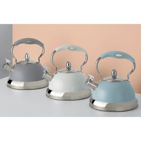 https://p.globalsources.com/IMAGES/PDT/S1197558893/steel-tea-water-kettle-stove-top-whistling-kettle.jpg