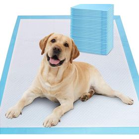 High Quality Wholesale Dog Toilet Mat Pet Puppy Cleaning Pads Pet