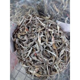 100% Dry Stock Fish / Norway Dried Stockfish by Spinel Company