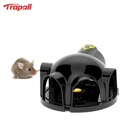 https://p.globalsources.com/IMAGES/PDT/S1198155914/Mouse-trap.jpg